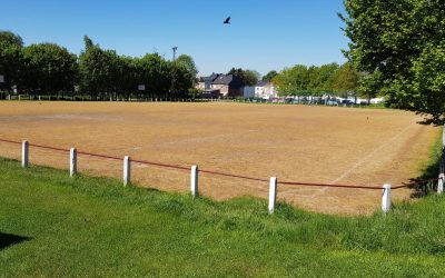 Glyphosate sur un terrain de football à Stembert : un scandale sanitaire et écologique !